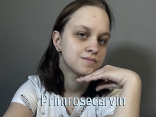 Primrosecarvin