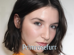 Primrosefurr