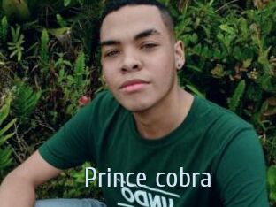Prince_cobra