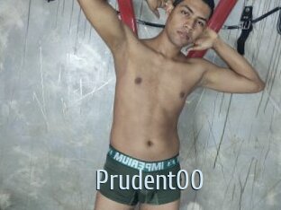 prudent00 Ta Model