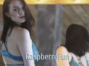 RaspberryFun