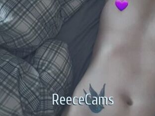 ReeceCams