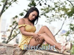 RileyGaudet