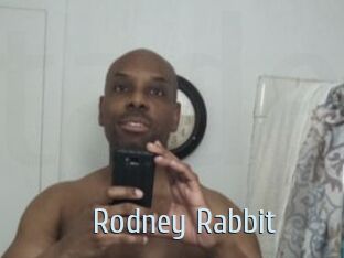Rodney_Rabbit