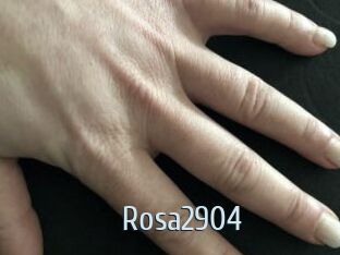 Rosa2904
