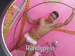 randypein Ta Model