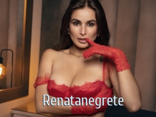 renatanegrete Ta Model