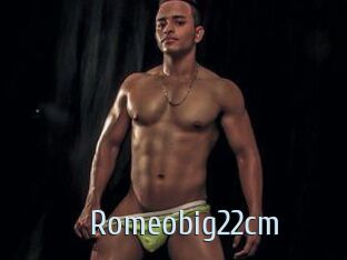 Romeobig22cm