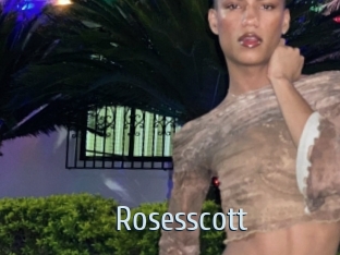 rosesscott Ta Model