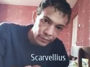 Scarvellius
