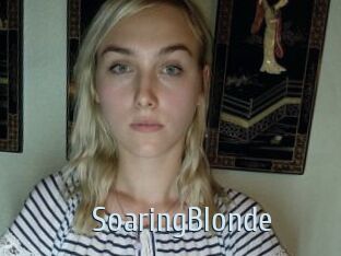 SoaringBlonde