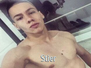 Stier