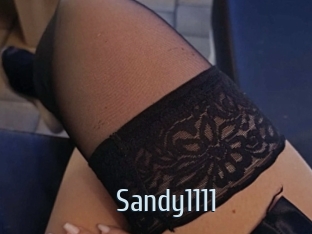 Sandy1111