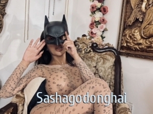 Sashagodonghai