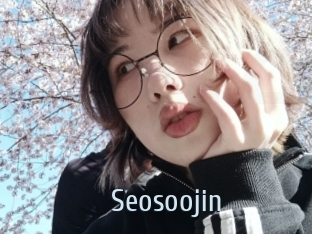 Seosoojin