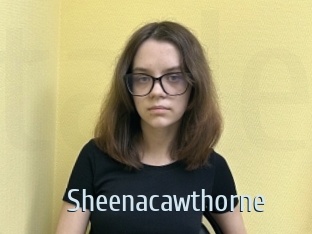 Sheenacawthorne