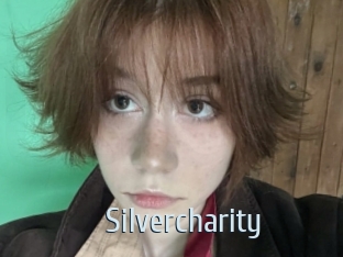 Silvercharity