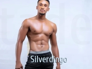 Silverdingo