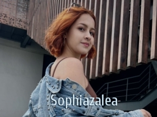 Sophiazalea