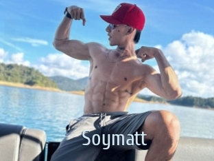 Soymatt