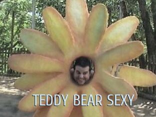 TEDDY_BEAR_SEXY