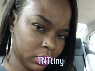 T_N_Ttiny