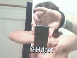 TSFidget