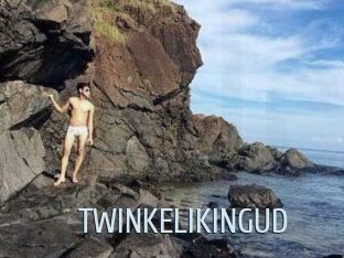 TWINKELIKINGUD