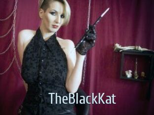 TheBlackKat Ta Model