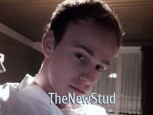 TheNewStud