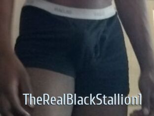 TheRealBlackStallion1