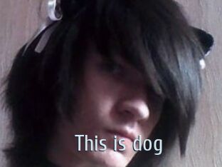 This_is_dog