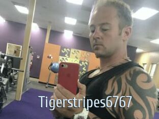 Tigerstripes6767