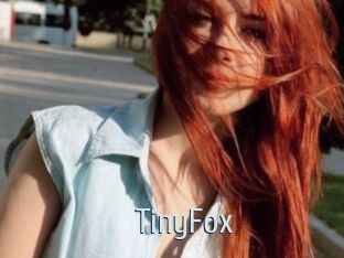 TinyFox
