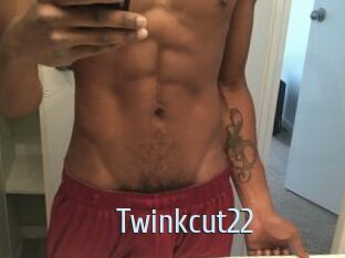 Twinkcut22