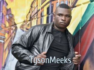 TysonMeeks Ta Model
