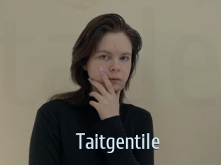 Taitgentile
