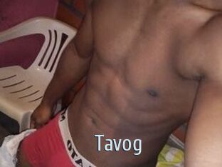 Tavog