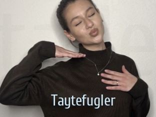 Taytefugler