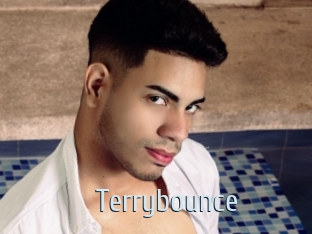 Terrybounce