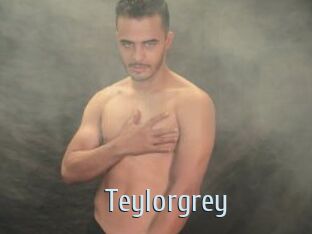 Teylorgrey