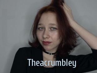 theacrumbley Ta Model