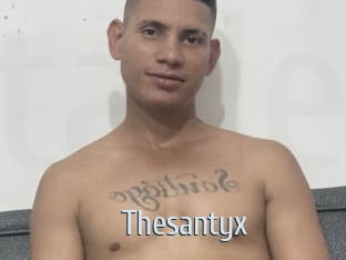 Thesantyx