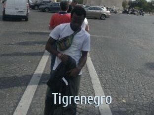 Tigrenegro