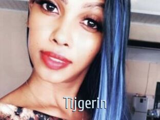 Tijgerin