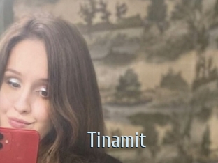 Tinamit