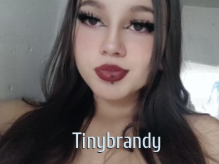 Tinybrandy