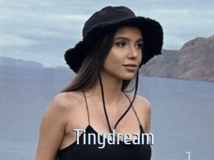 Tinydream
