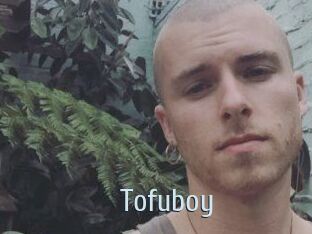 Tofu_boy