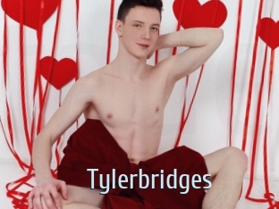tylerbridges Ta Model